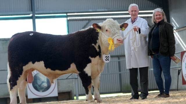 Cavan-bred bull takes top price at Tullamore Hereford sale