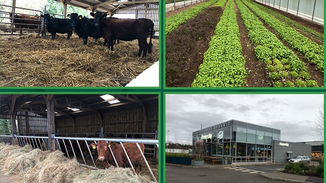 Beef Focus: West of Ireland organic farm-to-fork business