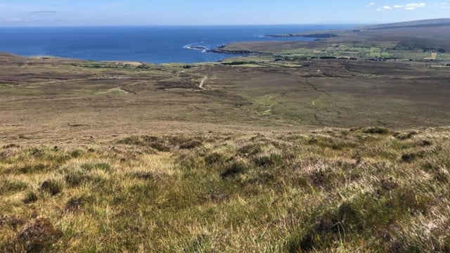 Healy-Rae comments on forestry and peat draw IPCC ire