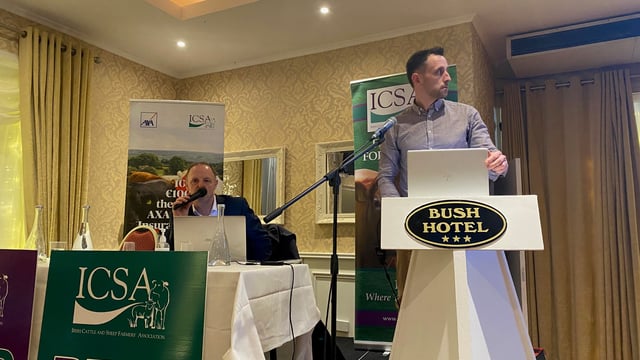 Almost 2% decline in lamb consumption expected this year