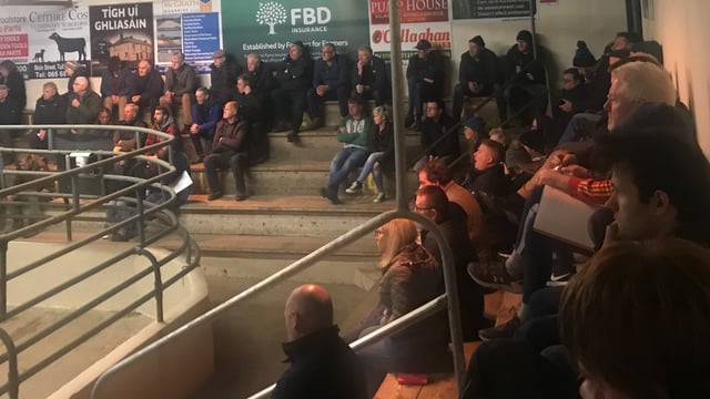 Tips for organic farmers at Sixmilebridge Mart info event