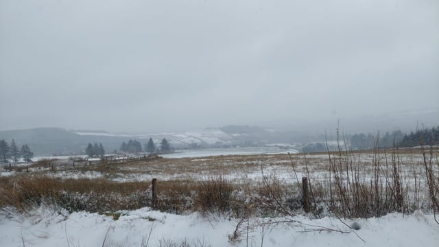 Thousands of homes and farms without power due to snow impacts