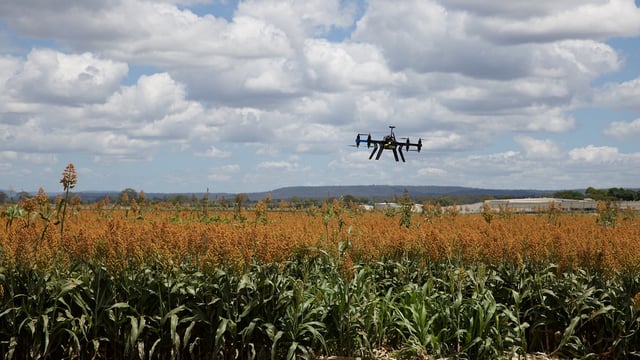 Ambition to double Irish AgTech sector over next decade