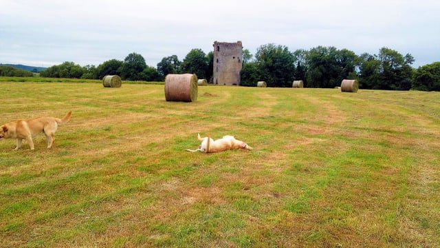 'Heartbroken' farm family fears the worst if greenway goes ahead
