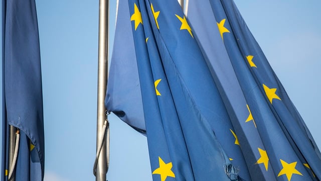 MEPS agree to 'simplify' rules for British goods entering NI