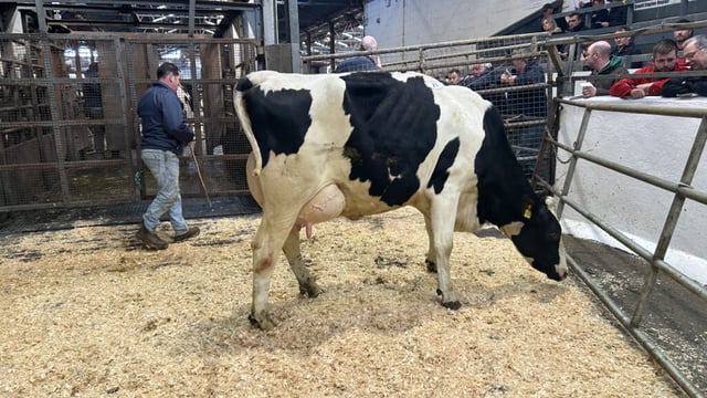 Prices reach 3,800gns at Taaffe Auctions' monthly sale