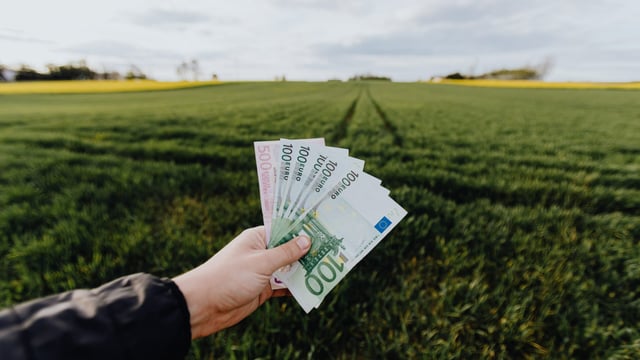 DAFM confirms payment dates for CRISS and eco-scheme