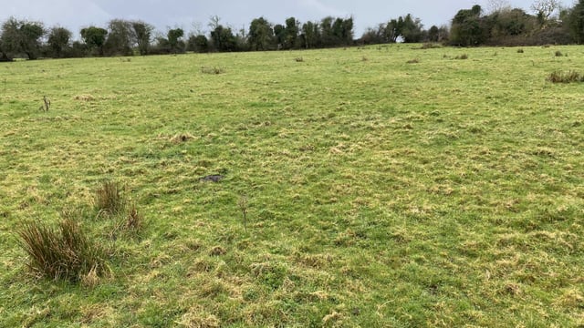 47ac farm for sale in Limerick guiding at €500,000