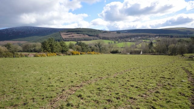 49ac Tinahely holding hits the market