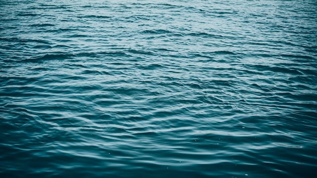 Group meets to reverse negative water quality trends