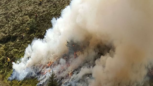 NIEA opens consultation on wildfire management in NI