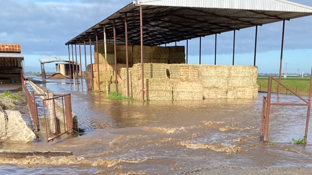 USDA outlines support for California farmers affected by floods