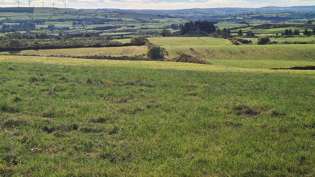 Derelict Drimoleague farmhouse on 70ac for sale