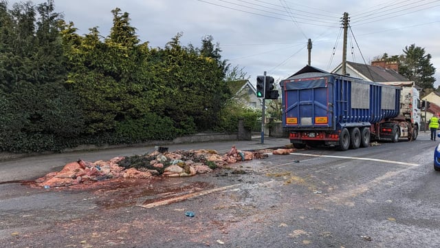 Video: Animal offal blocks road after lorry sheds load