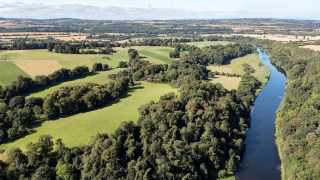 Tenders sought for Brú na Bóinne National Park biodiversity study