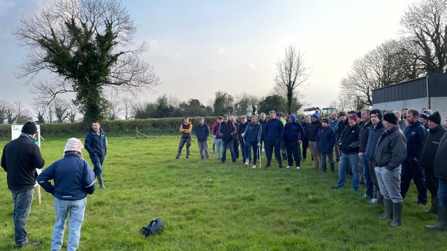 Calving at 24 months for 25 years on Longford suckler farm