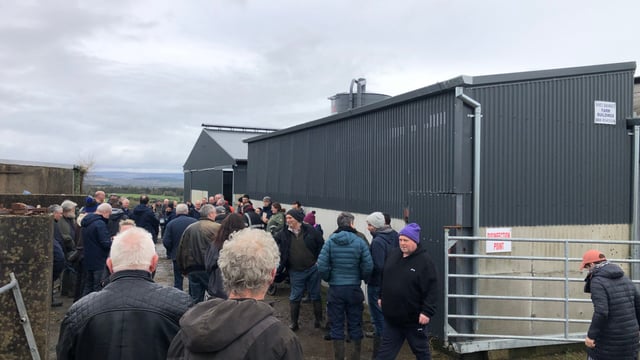 Organic suckler profitability discussed at event in Boyle