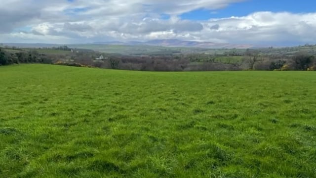 58ac farm near Kerry airport set for auction