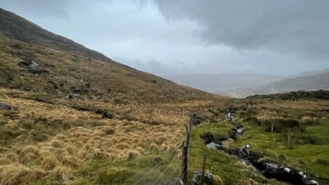 Nature Restoration Law could 'see an end' to hill farming - INHFA