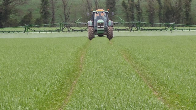 Tackling sterile brome through integrated weed management
