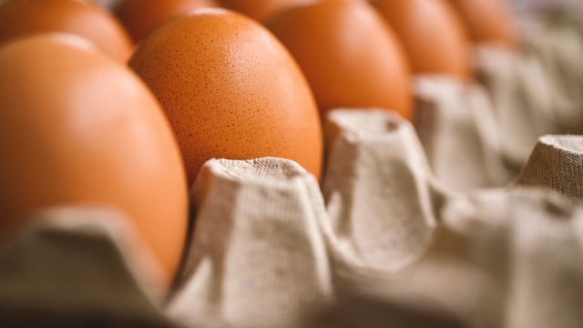 Challenges of egg producers to be addressed at event