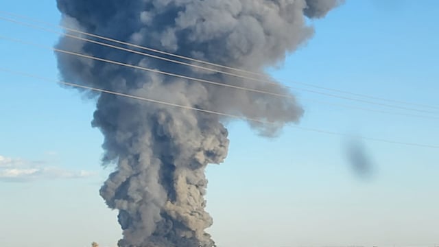 Explosion and fire on Texas farm kills 18,000 cattle