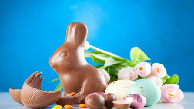 Vet warning to keep chocolate away from animals this Easter