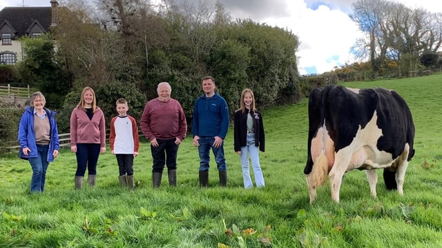 NI herd named British Friesian Herd of the Year