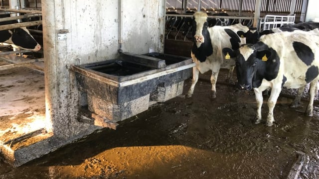 DAFM to conduct 500 nitrates inspections this year