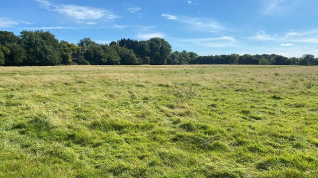 'Attractive' parcel of land in Sallins for auction