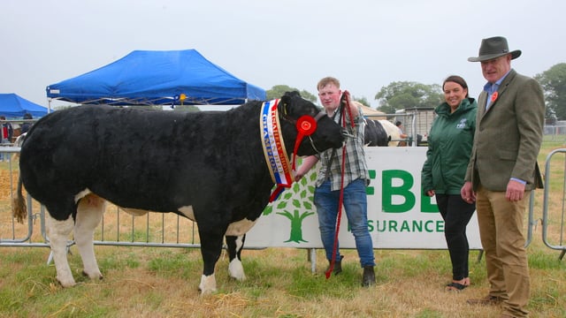 Numerous cattle and sheep classes for Tinahely Show