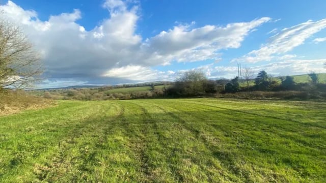 Kerry farm makes almost €18,000/ac at auction