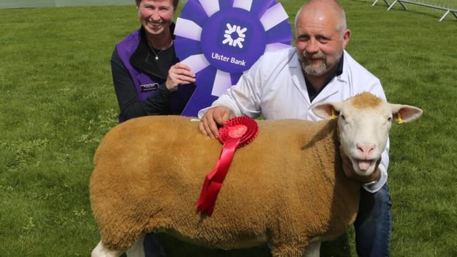 Who were the winners at Balmoral Show 2023?