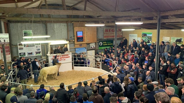 2023 Carrick Winter Fair to take place over 2 weekends