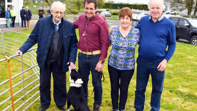 Sheepdog commands nursing home residents' interest