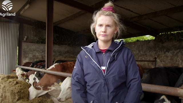 Sinn Féin calls on minister to meet sheep farmers on BAR funds