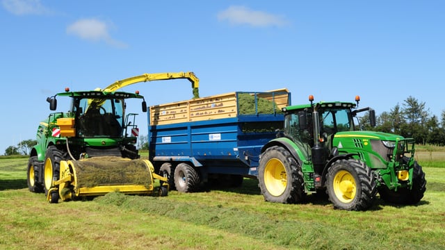 Focus: Ending the madness of silage cutting season