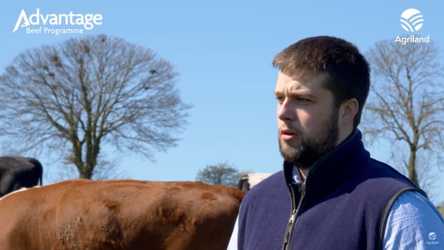Video: Securing a €3,000/year beef sustainability bonus