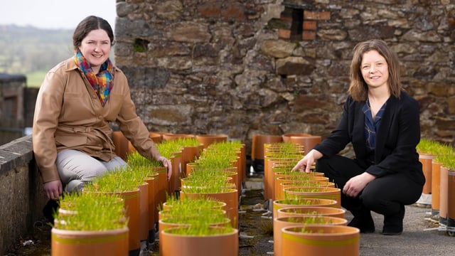 VistaMilk SFI Research Centre appoints new funded investigator