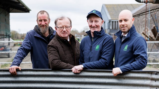 IGA sheep event to take place entirely on-farm