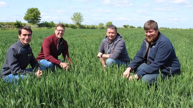 Trials to control blackgrass underway in the UK