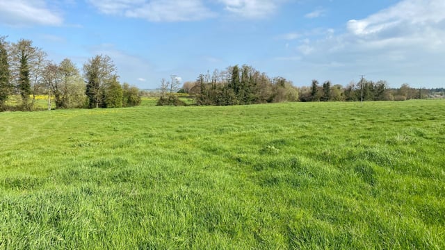31.5ac on outskirts of Stradbally for auction