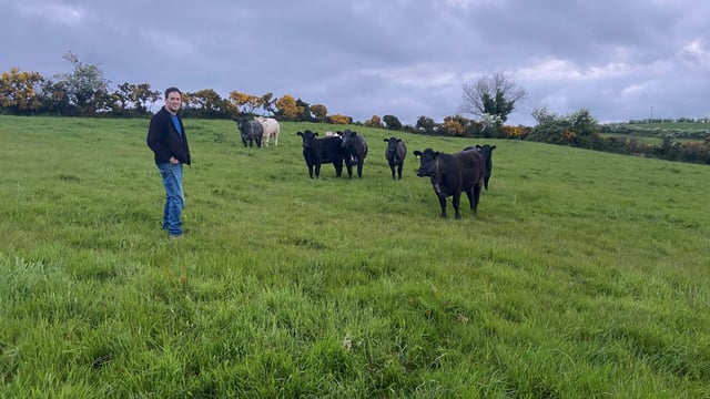 The Keenans begin their journey to organic farming