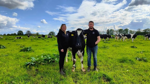 Farmers forced to put down cows after loose dog enters shed