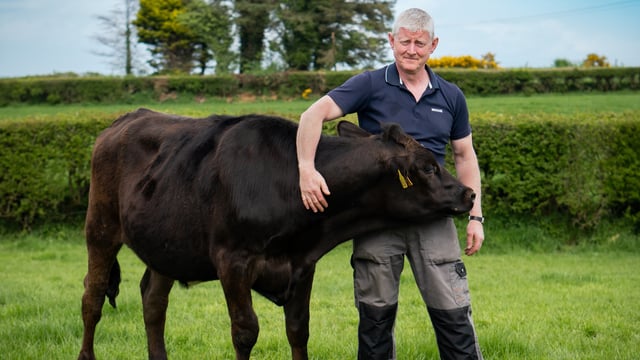 Balmoral Show 2023: M&S enjoys strong trading year