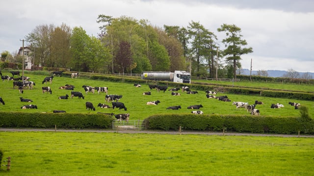 Which county topped the list for Tirlán milk payments in 2022?