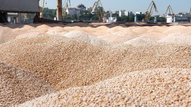 Minister urged to respond to concerns about grain imports