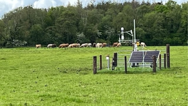Offaly workshop: 'Lack of clarity' on rewetting at farm scale