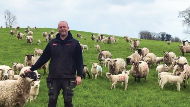 Laois farmer holds first 'Growing Organics' walk
