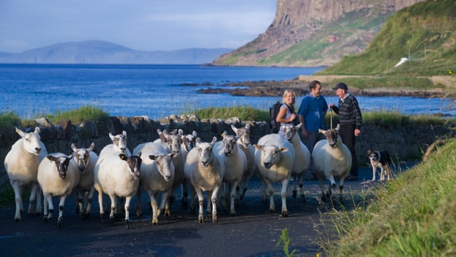 Grants up to €200k available for rural tourism diversification